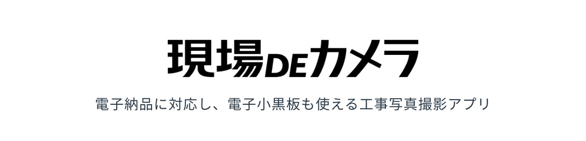 現場DEカメラ